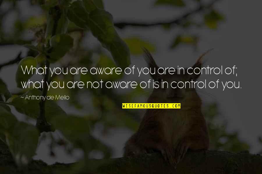 Lenita Hanson Quotes By Anthony De Mello: What you are aware of you are in Lenita Hanson Quotes By Anthony De Mello: What you are aware of you are in