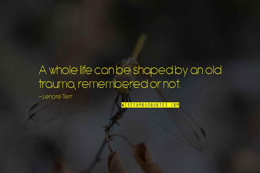 Lenore Quotes By Lenore Terr: A whole life can be shaped by an