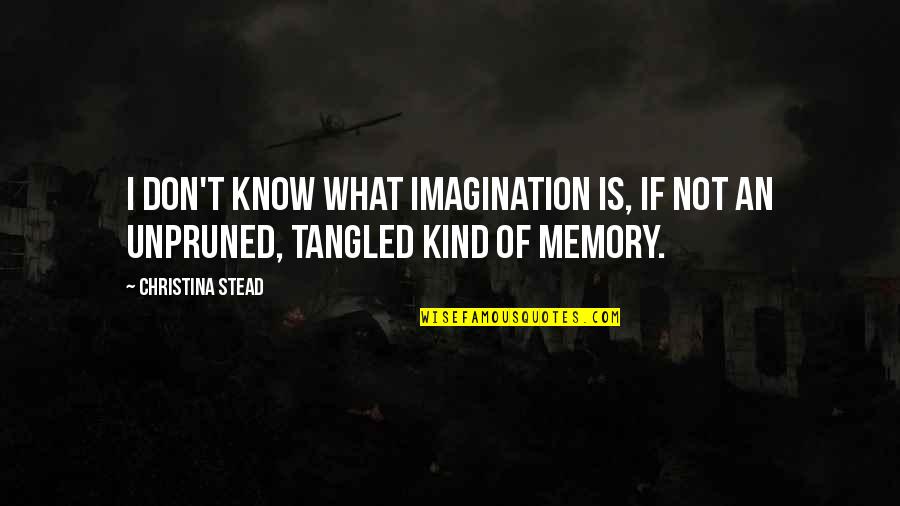 Lenses And The World Quotes By Christina Stead: I don't know what imagination is, if not
