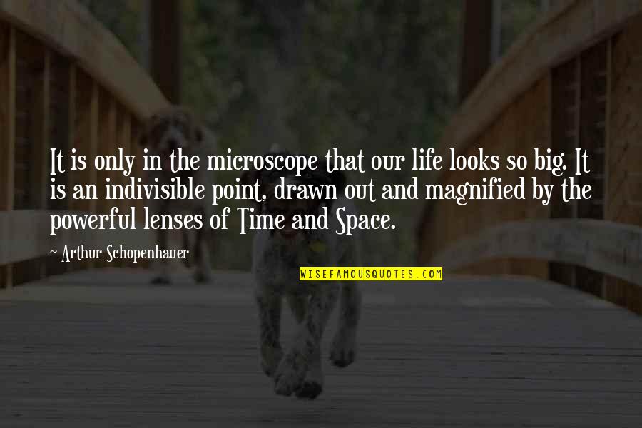 Lenses Quotes By Arthur Schopenhauer: It is only in the microscope that our