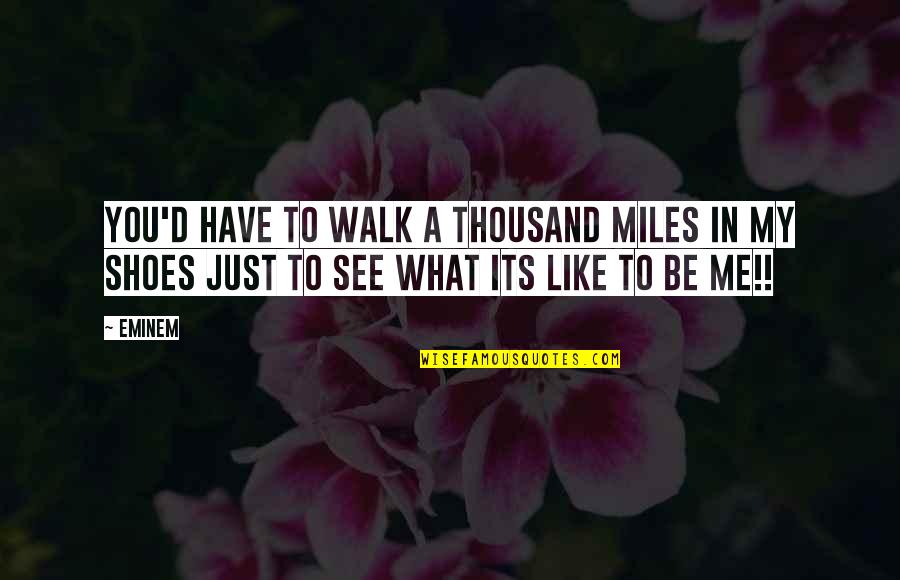 Leo Aiolia Quotes By Eminem: You'd have to walk a thousand miles in