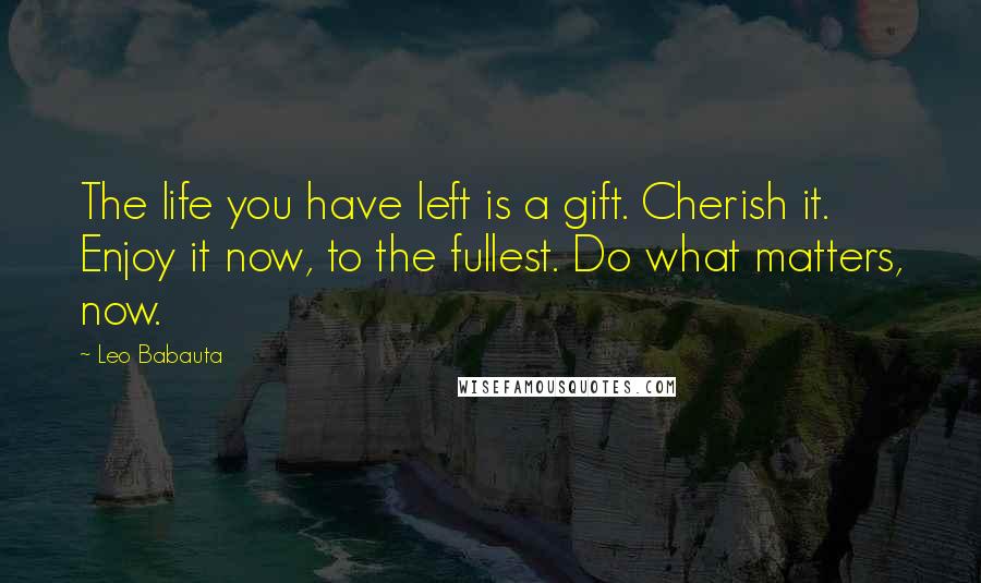 Leo Babauta quotes: The life you have left is a gift. Cherish it. Enjoy it now, to the fullest. Do what matters, now.