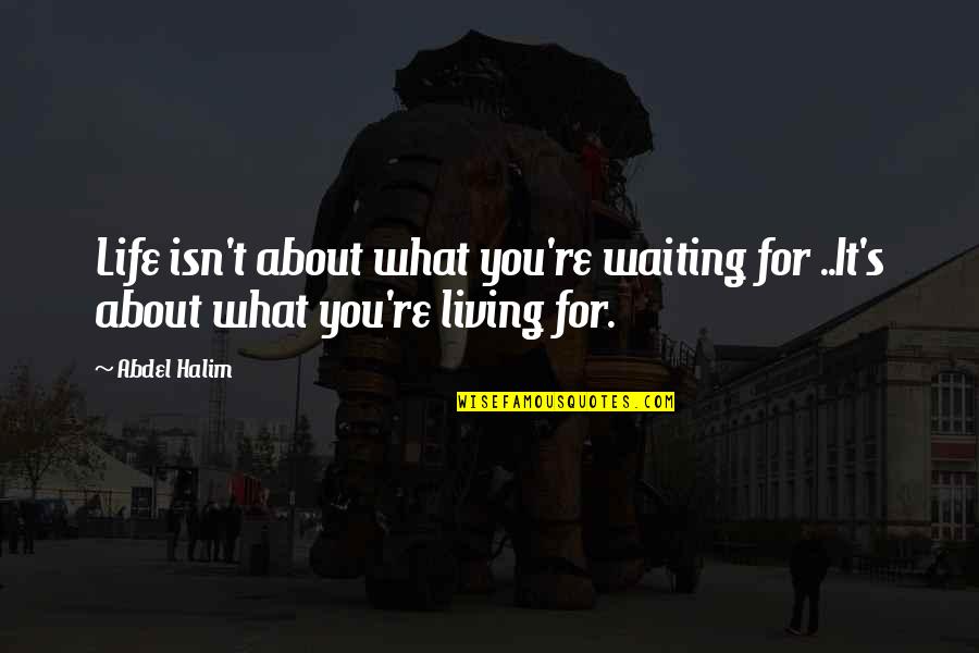 Leo Castelli Quotes By Abdel Halim: Life isn't about what you're waiting for ..It's