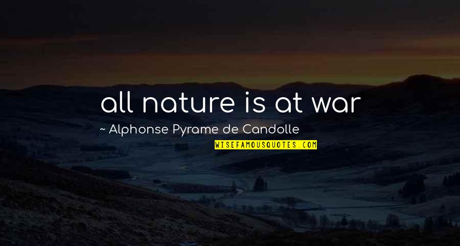 Leo Kadanoff Quotes By Alphonse Pyrame De Candolle: all nature is at war