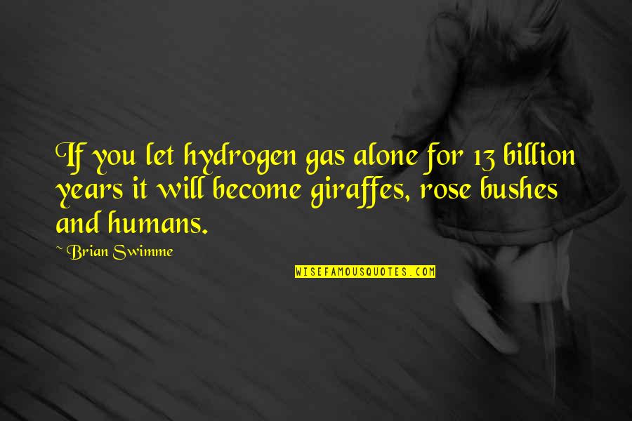 Leo Kadanoff Quotes By Brian Swimme: If you let hydrogen gas alone for 13