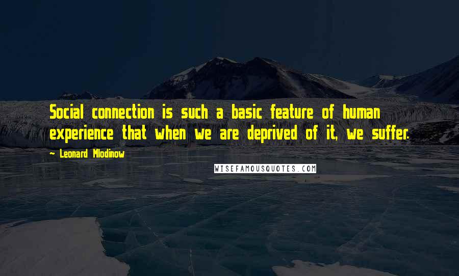 Leonard Mlodinow quotes: Social connection is such a basic feature of human experience that when we are deprived of it, we suffer.