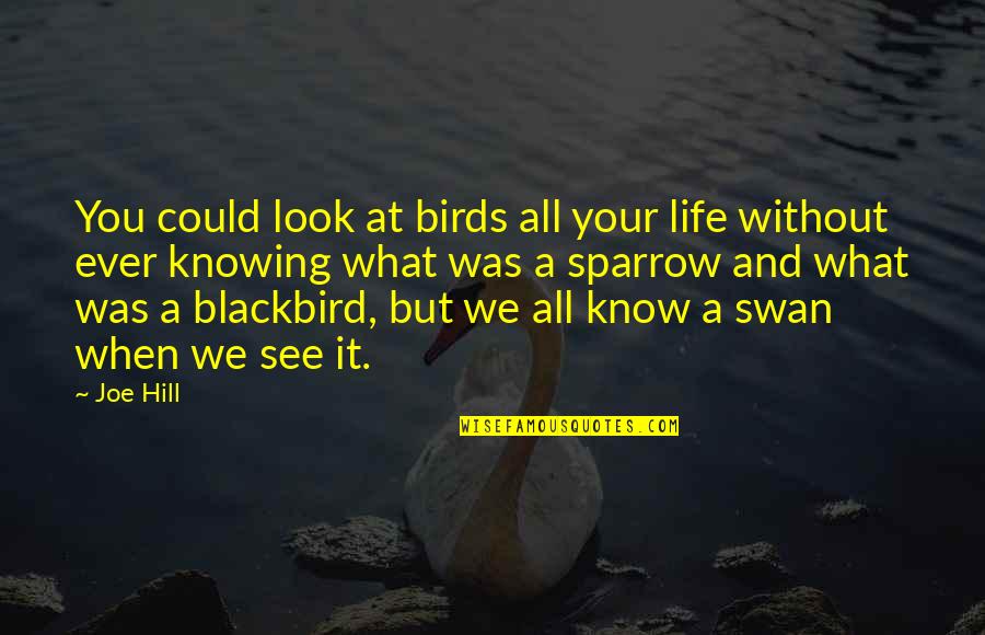 Leonard Snart Quotes By Joe Hill: You could look at birds all your life