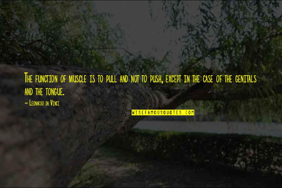 Leonardo Da Quotes By Leonardo Da Vinci: The function of muscle is to pull and Leonardo Da Quotes By Leonardo Da Vinci: The function of muscle is to pull and