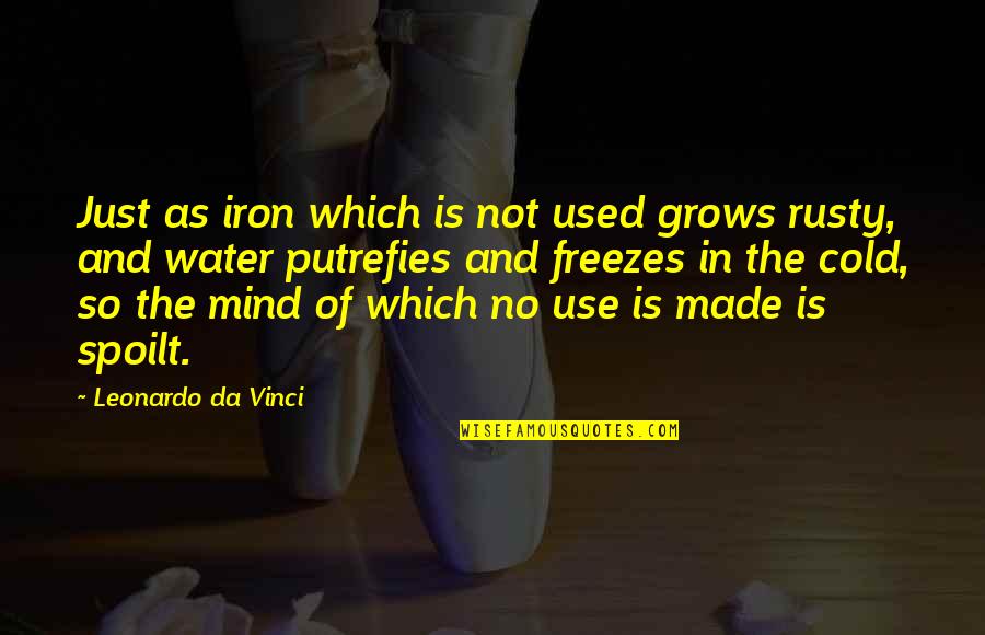 Leonardo Da Quotes By Leonardo Da Vinci: Just as iron which is not used grows Leonardo Da Quotes By Leonardo Da Vinci: Just as iron which is not used grows
