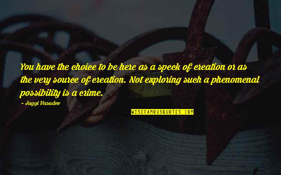 Leonardo Da Vinci Flight Quote Quotes By Jaggi Vasudev: You have the choice to be here as