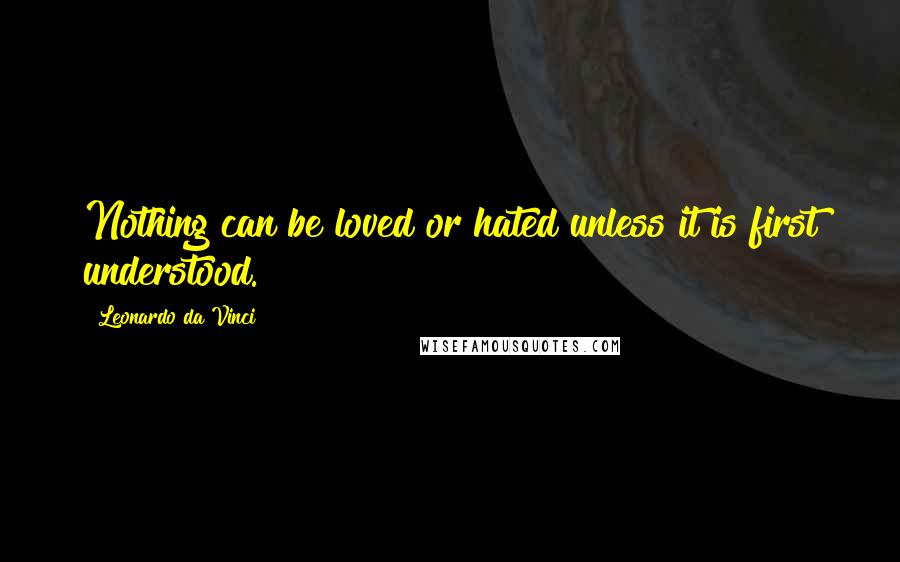 Leonardo Da Vinci quotes: Nothing can be loved or hated unless it is first understood.