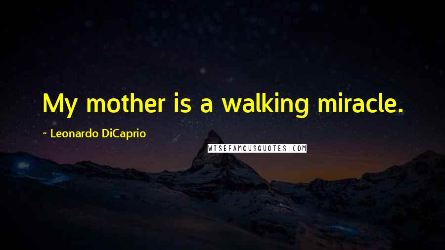 Leonardo DiCaprio quotes: My mother is a walking miracle.