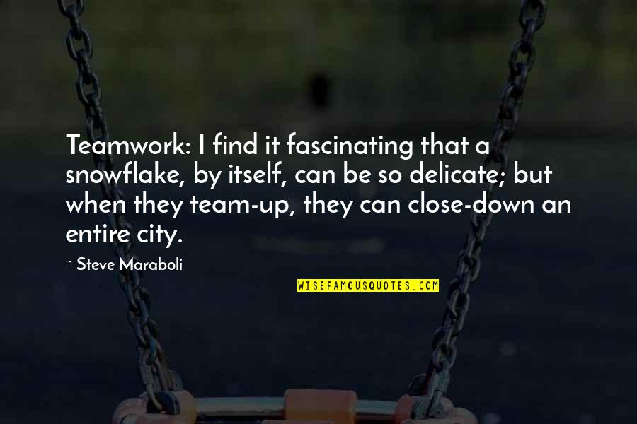 Leonardo Pisano Quotes By Steve Maraboli: Teamwork: I find it fascinating that a snowflake,