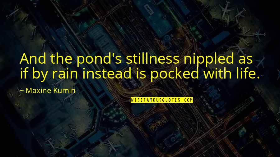 Leonce Pontellier Quotes By Maxine Kumin: And the pond's stillness nippled as if by