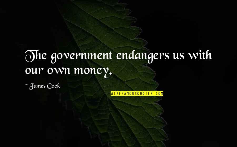 Leonide Lavaron Quotes By James Cook: The government endangers us with our own money.