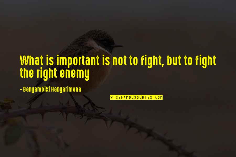Leontine Snell Quotes By Bangambiki Habyarimana: What is important is not to fight, but Leontine Snell Quotes By Bangambiki Habyarimana: What is important is not to fight, but
