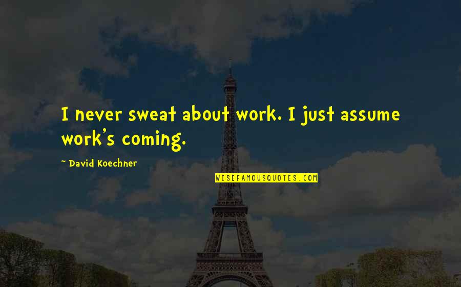 Leontius Plato Quotes By David Koechner: I never sweat about work. I just assume Leontius Plato Quotes By David Koechner: I never sweat about work. I just assume