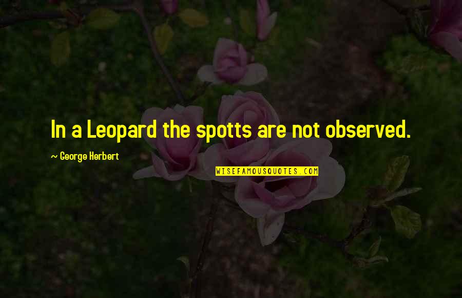 Leopard Quotes By George Herbert: In a Leopard the spotts are not observed.