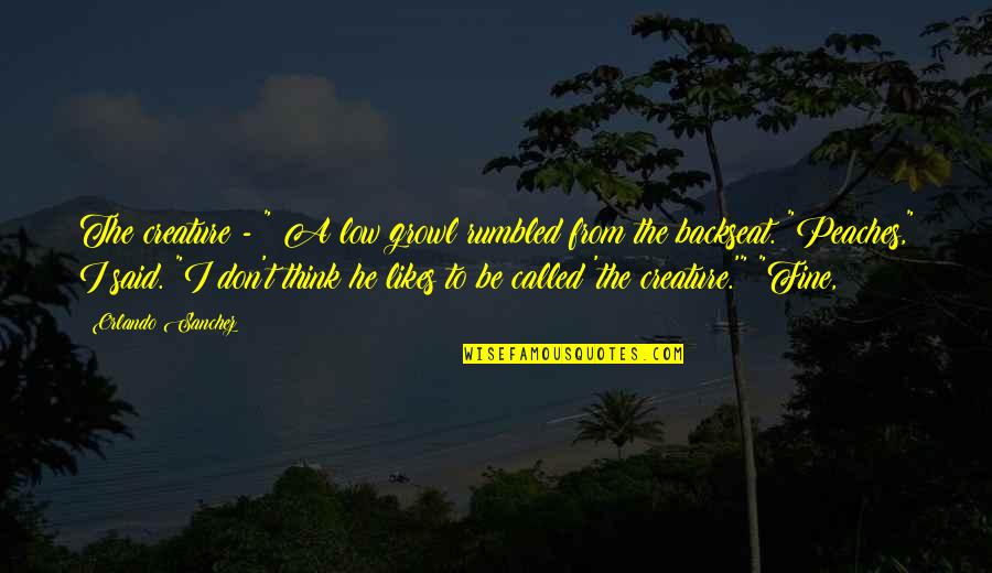 Lepote Srbije Quotes By Orlando Sanchez: The creature - " A low growl rumbled Lepote Srbije Quotes By Orlando Sanchez: The creature - " A low growl rumbled