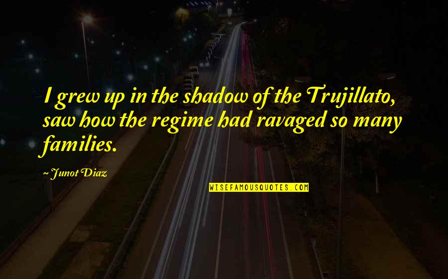 Leptiri Quotes By Junot Diaz: I grew up in the shadow of the