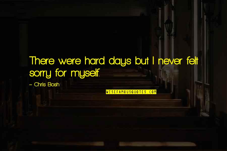 Lerntechniken Quotes By Chris Bosh: There were hard days but I never felt