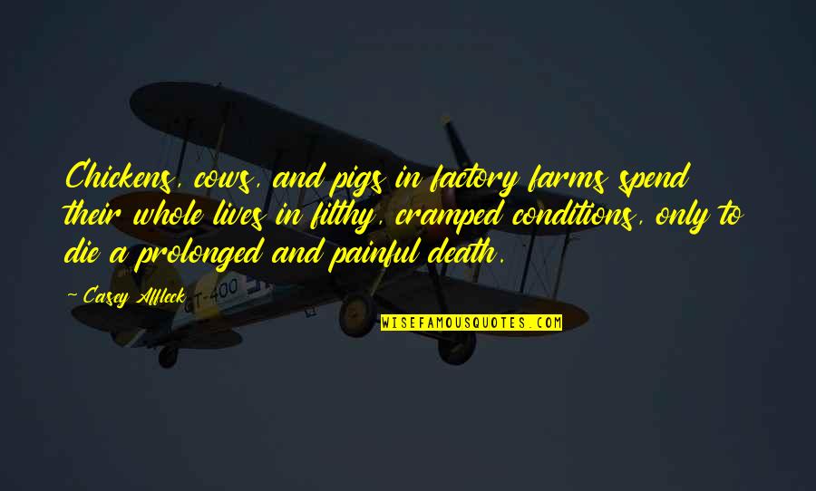 Leroi Moore Quotes By Casey Affleck: Chickens, cows, and pigs in factory farms spend Leroi Moore Quotes By Casey Affleck: Chickens, cows, and pigs in factory farms spend