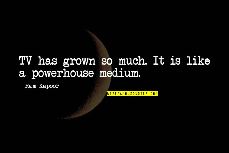 Lerouxs Phantom Quotes By Ram Kapoor: TV has grown so much. It is like