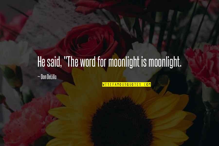 Leroy Mercer Quotes By Don DeLillo: He said, "The word for moonlight is moonlight.