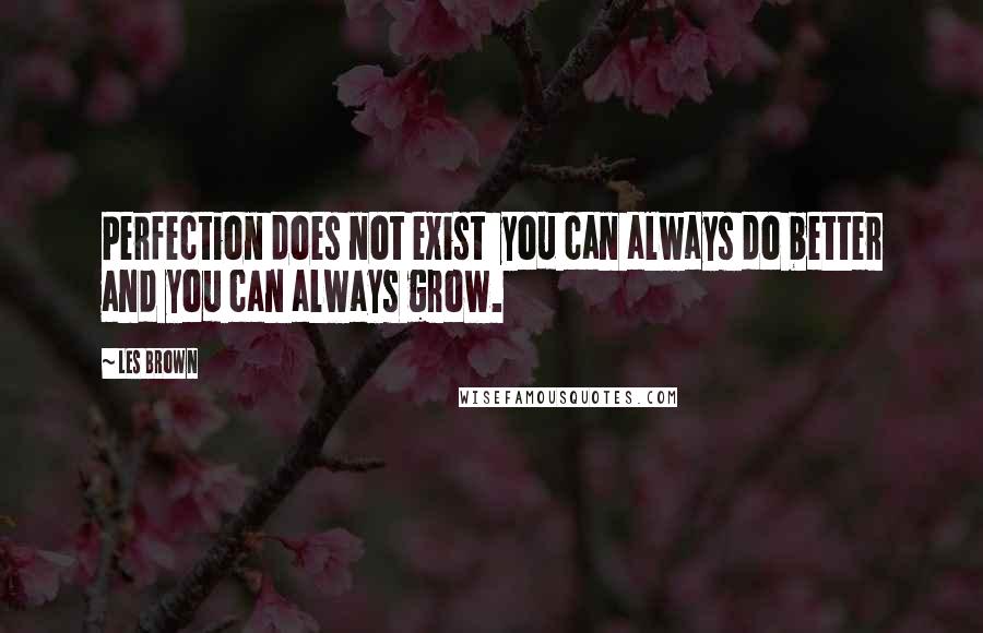 Les Brown quotes: Perfection does not exist you can always do better and you can always grow.