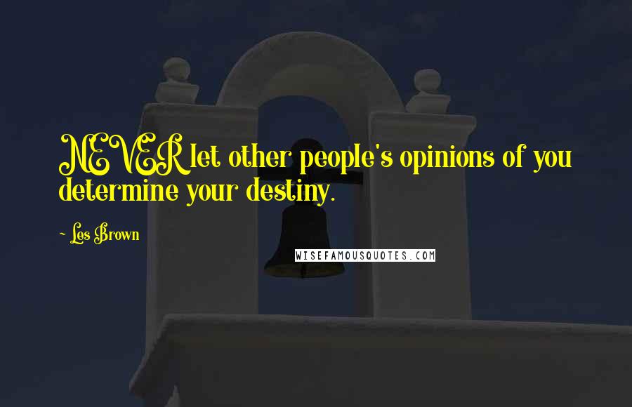 Les Brown quotes: NEVER let other people's opinions of you determine your destiny.