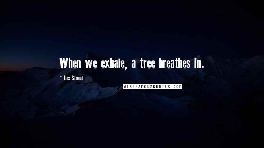 Les Stroud quotes: When we exhale, a tree breathes in.