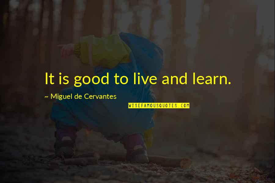 Lesbian Break Ups Quotes By Miguel De Cervantes: It is good to live and learn.