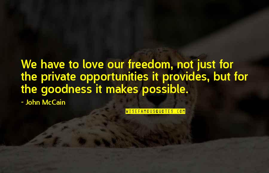 Lesebuch Slapnicka Quotes By John McCain: We have to love our freedom, not just