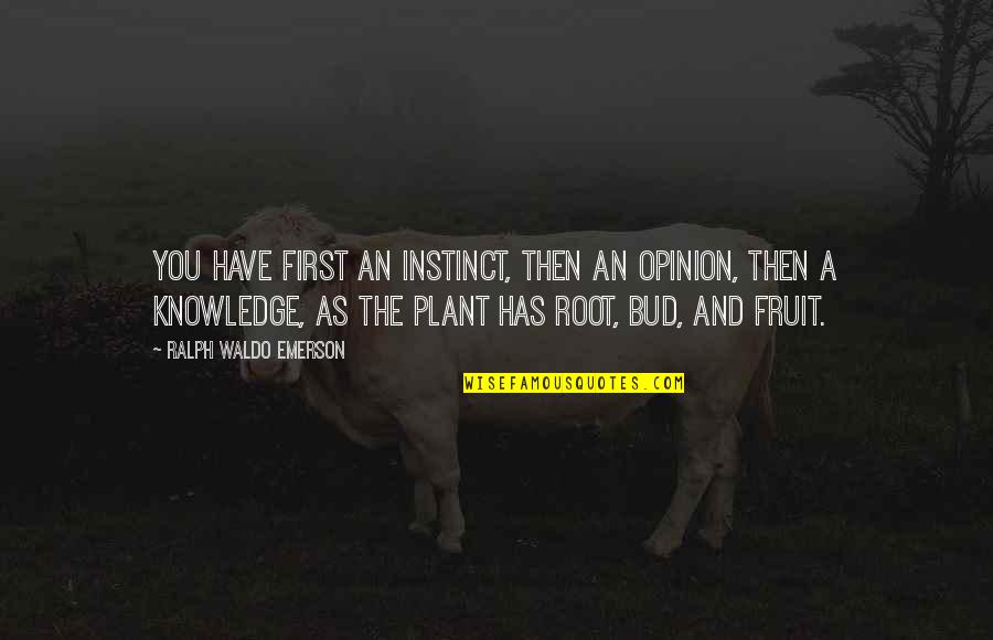 Leslie Ann Stefanson Quotes By Ralph Waldo Emerson: You have first an instinct, then an opinion, Leslie Ann Stefanson Quotes By Ralph Waldo Emerson: You have first an instinct, then an opinion,