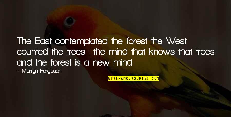 Leslie Shay Quotes By Marilyn Ferguson: The East contemplated the forest the West counted Leslie Shay Quotes By Marilyn Ferguson: The East contemplated the forest the West counted