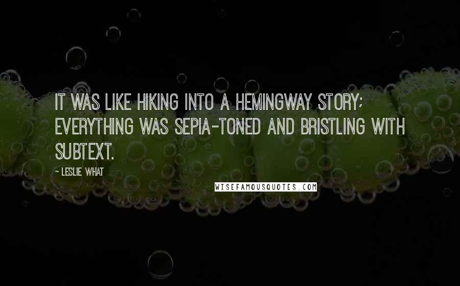 Leslie What quotes: It was like hiking into a Hemingway story; everything was sepia-toned and bristling with subtext.