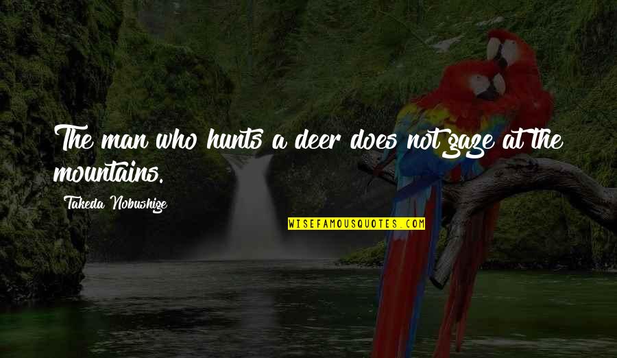 Lesly Kahn Quotes By Takeda Nobushige: The man who hunts a deer does not Lesly Kahn Quotes By Takeda Nobushige: The man who hunts a deer does not