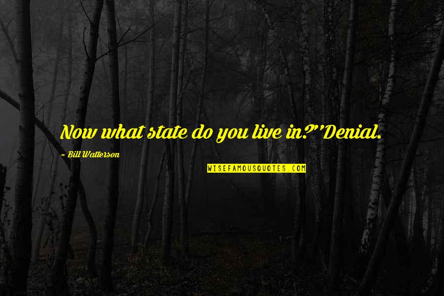 Lesonit Quotes By Bill Watterson: Now what state do you live in?''Denial. Lesonit Quotes By Bill Watterson: Now what state do you live in?''Denial.