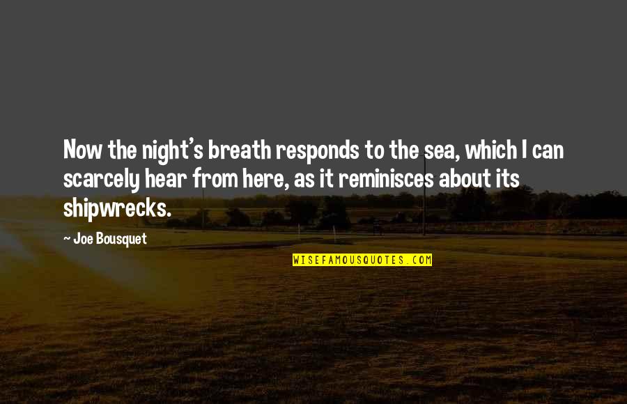 Lespark Quotes By Joe Bousquet: Now the night's breath responds to the sea,