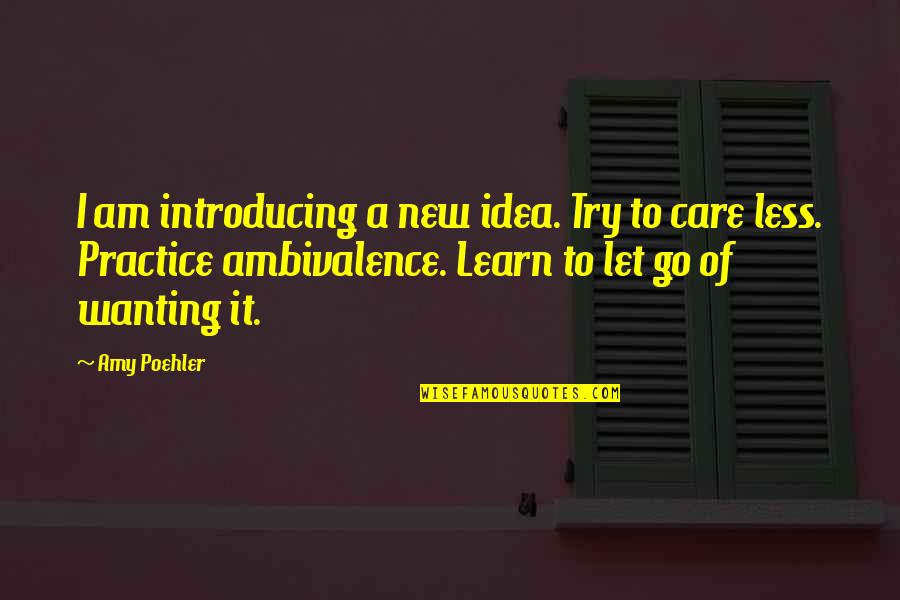 Less Care Quotes By Amy Poehler: I am introducing a new idea. Try to Less Care Quotes By Amy Poehler: I am introducing a new idea. Try to