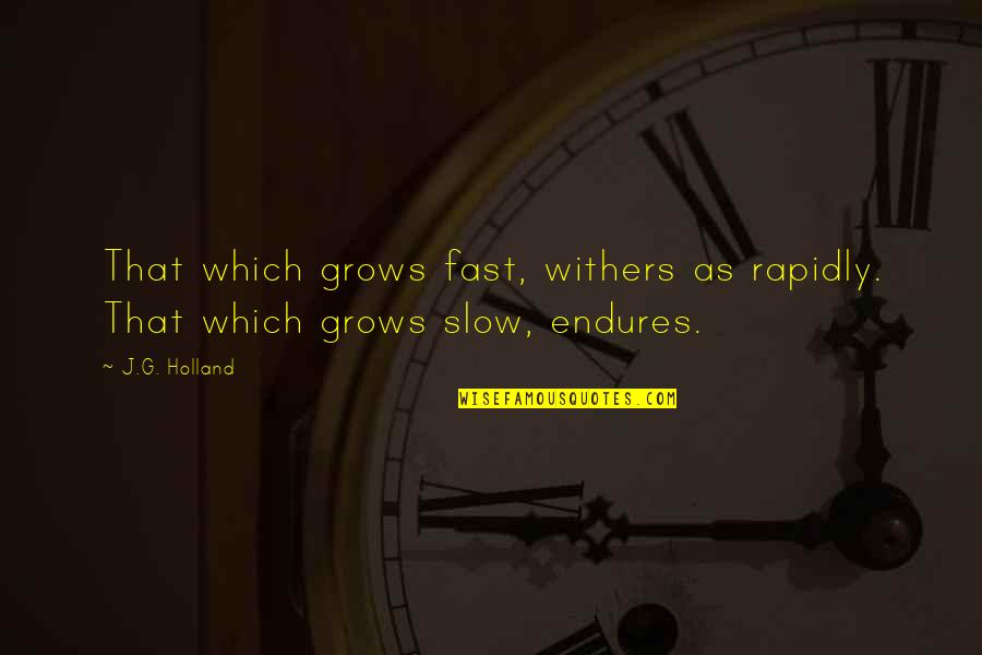 Less Priority Love Quotes By J.G. Holland: That which grows fast, withers as rapidly. That