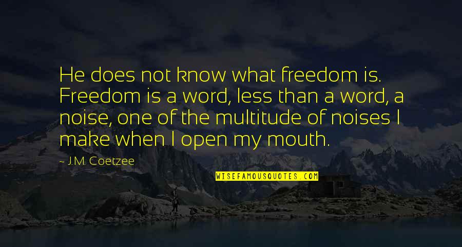 Less Than 5 Word Quotes By J.M. Coetzee: He does not know what freedom is. Freedom