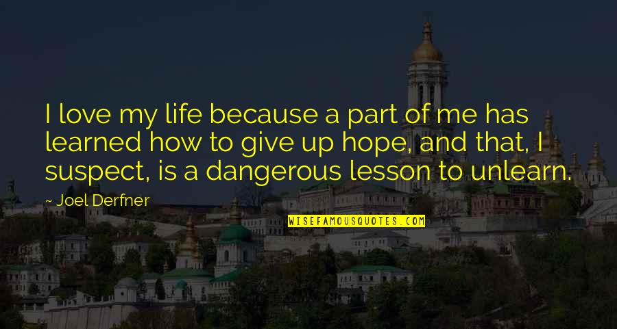 Lesson Learned In Life Quotes By Joel Derfner: I love my life because a part of