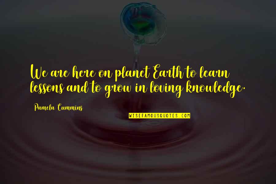 Lessons Learn Quotes By Pamela Cummins: We are here on planet Earth to learn