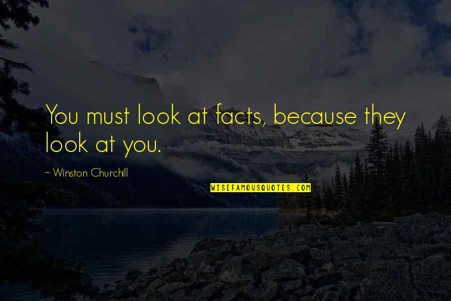 Lessons Learned From Enemies Quotes By Winston Churchill: You must look at facts, because they look