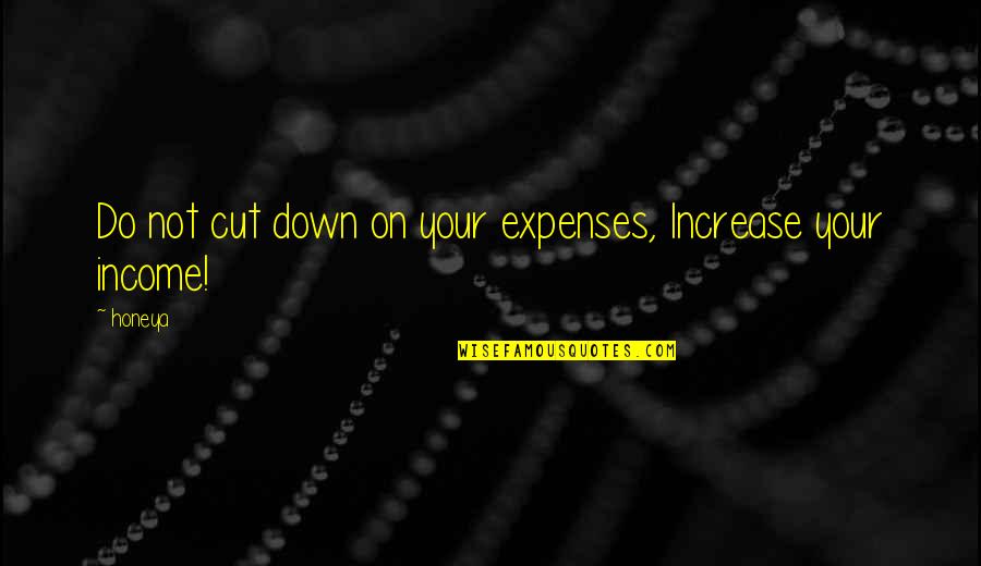 Lessons Not Learned Quotes By Honeya: Do not cut down on your expenses, Increase