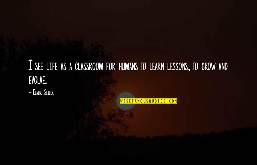 Lessons We Learn In Life Quotes By Elaine Seiler: I see life as a classroom for humans