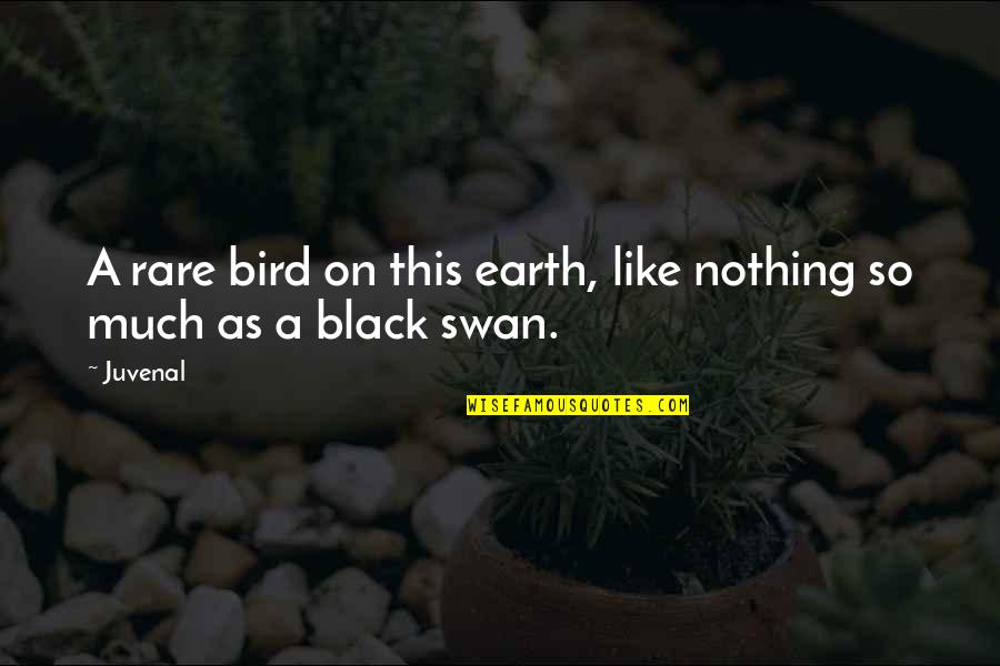 Lester Bangs Cool Quotes By Juvenal: A rare bird on this earth, like nothing