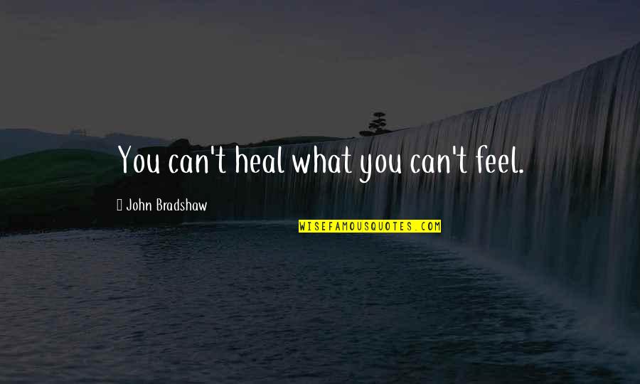 Lestrange Quotes By John Bradshaw: You can't heal what you can't feel.