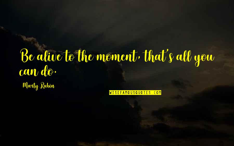 Let Me Down Again Quotes By Marty Rubin: Be alive to the moment, that's all you Let Me Down Again Quotes By Marty Rubin: Be alive to the moment, that's all you
